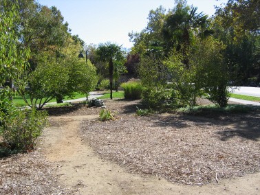 Vegetable Garden before 1