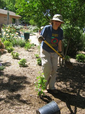 Spring Planting 2008 Pic 3