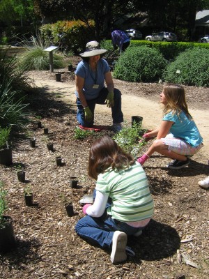 Spring Planting 2008 Pic 4