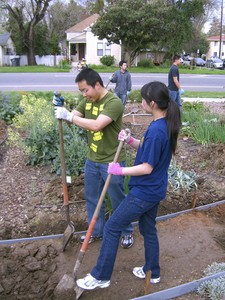 Veg Garden Rotary Path Workday Pic 2