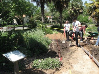 sensory garden path renovation 2010 pic 3