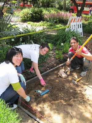 sensory garden path renovation 2010 pic 5