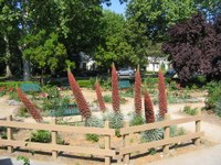 Sunrise Rotary builds new fence for Rose & Flower Garden