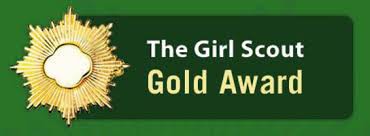 GS Gold Award
