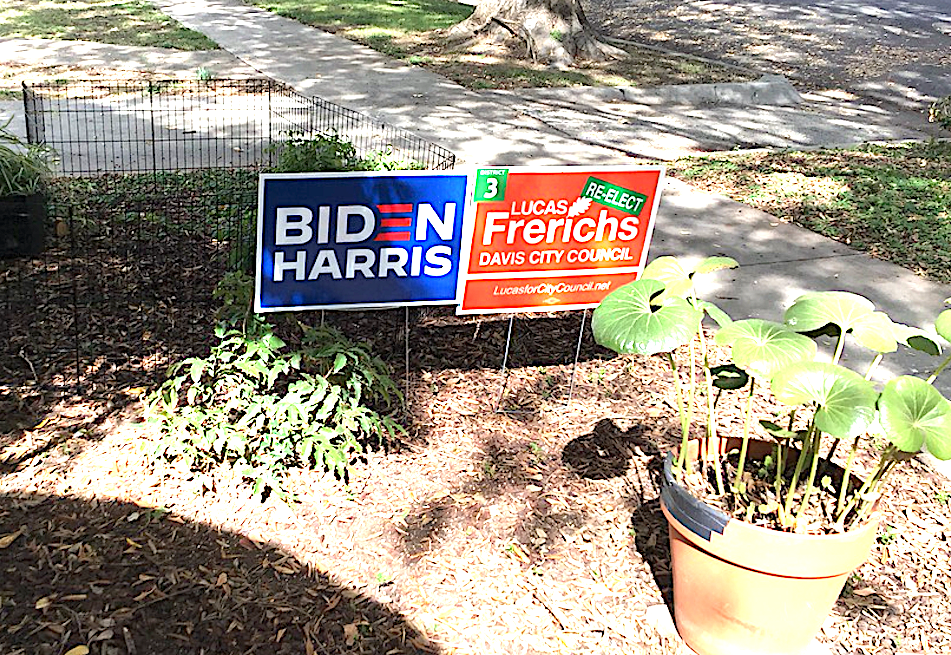 Biden Sign in the Sunlight