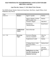 Agenda, January 19th Meeting of the ONDNA Board of Directors