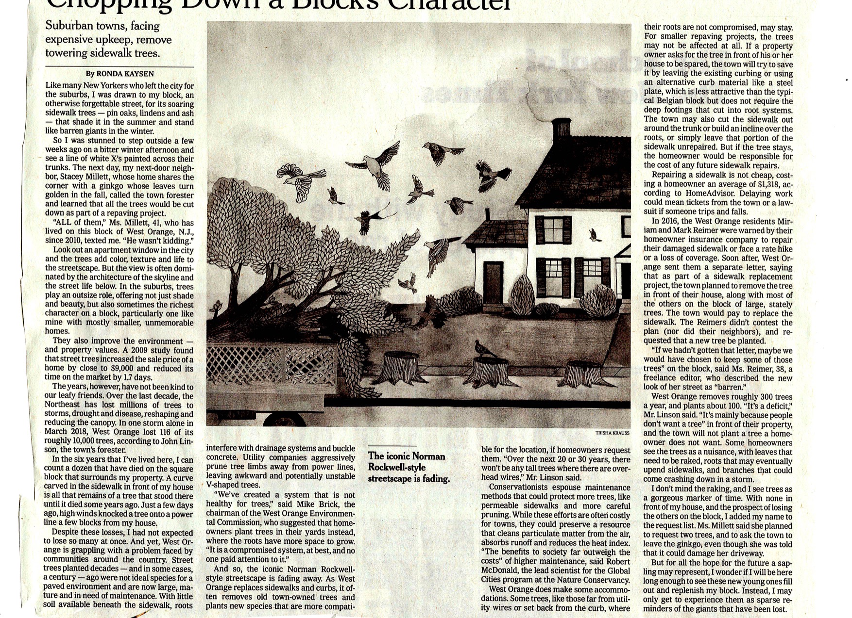 New York Times Report on the Dwindling of City Street Trees in America (3-6-19)