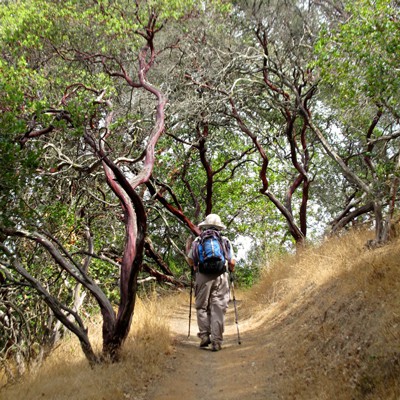 Bahia Trail Hike, Novato 10/16/14