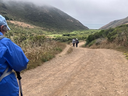 Tennessee Valley Cove  7/25/24